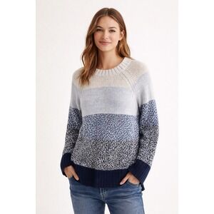 Aerie Womens M Knit Sweater Blue Gray Ombre Color Block Long‎ Sleeve Ribbed Hem